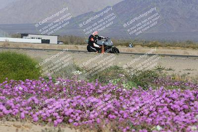 media/Feb-04-2023-SoCal Trackdays (Sat) [[8a776bf2c3]]/Turn 15 Inside Blooming (1050am)/